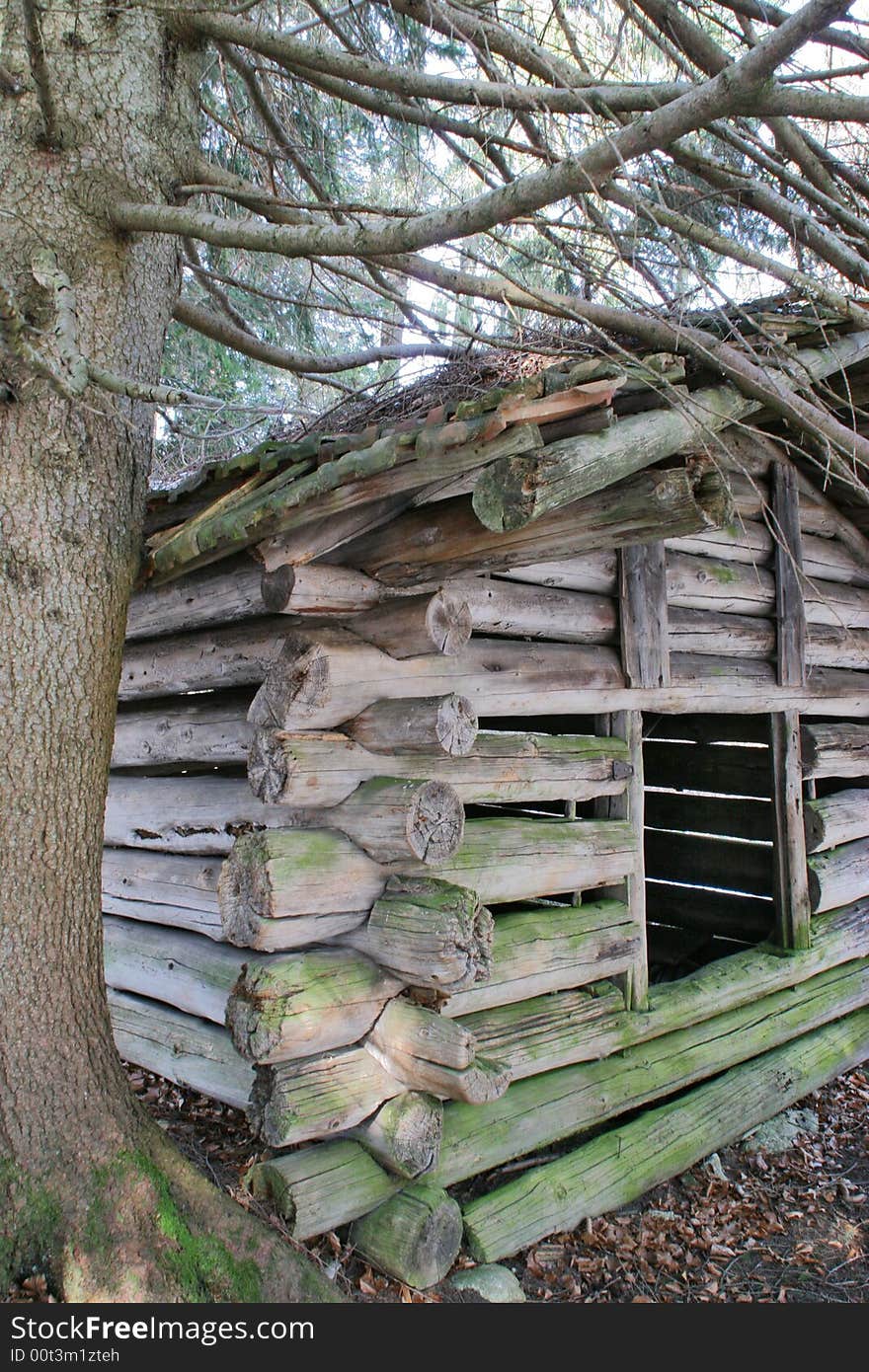 Cottage in the forest