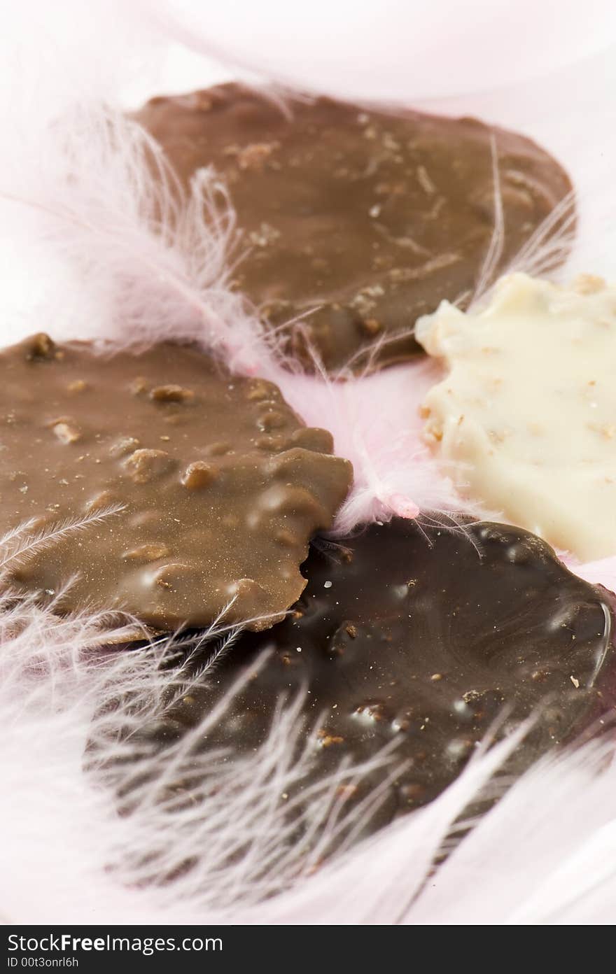 Chocolate Pralines With Decorative Feathers.