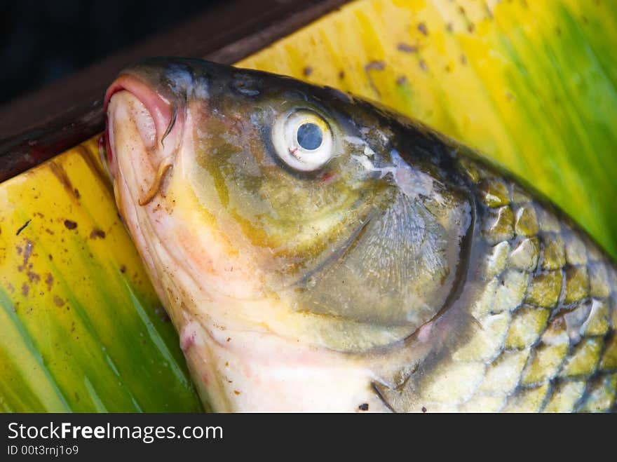 Fish at marketplace for sale