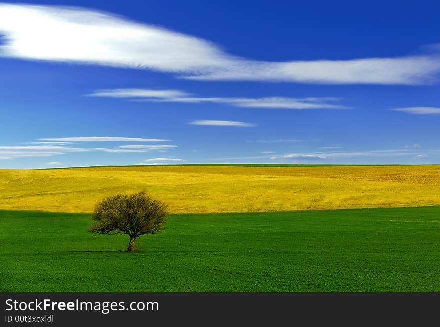 Tree clouds grass sky field. Tree clouds grass sky field