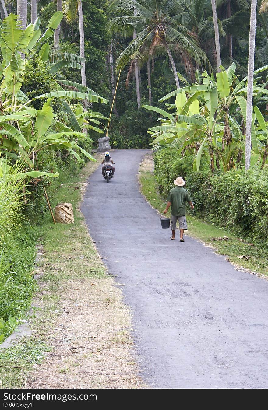 Country Lane