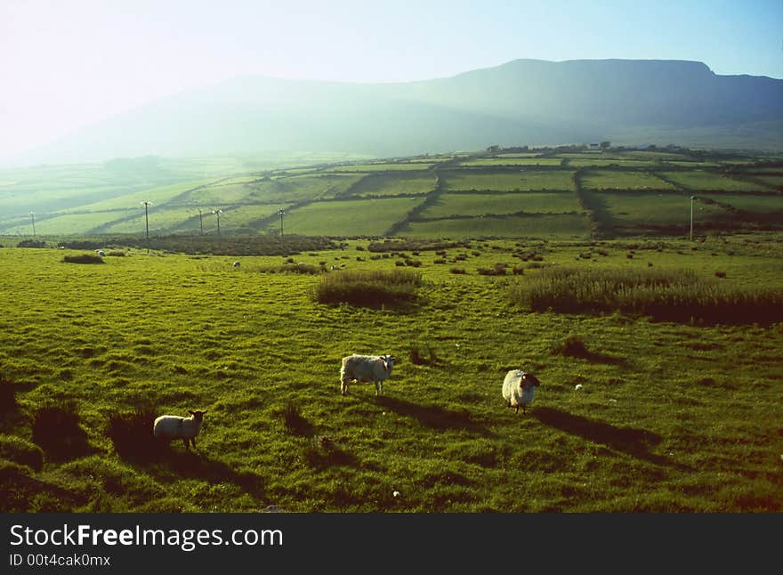 Green meadows in County Kerry, Ireland. Green meadows in County Kerry, Ireland