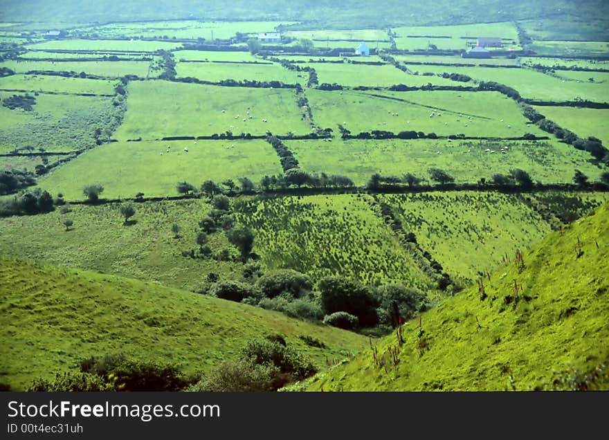 Green meadows in County Kerry, Ireland