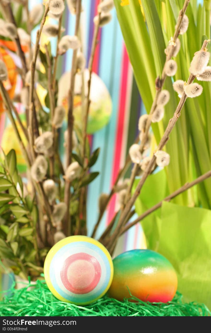 Easter floral arrangement on a coloured background. Easter floral arrangement on a coloured background.