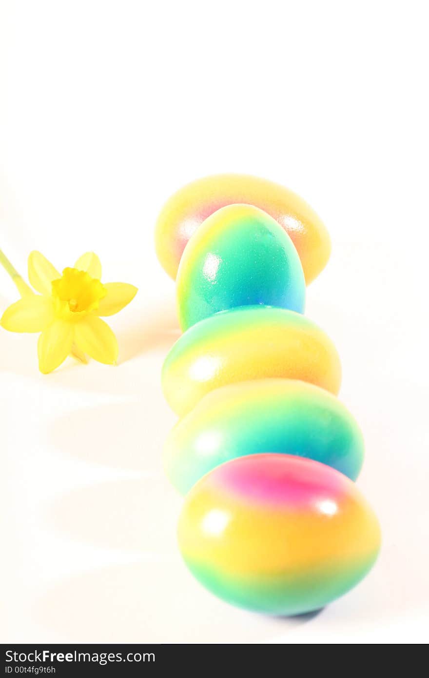 Painted eggs on a withe background.