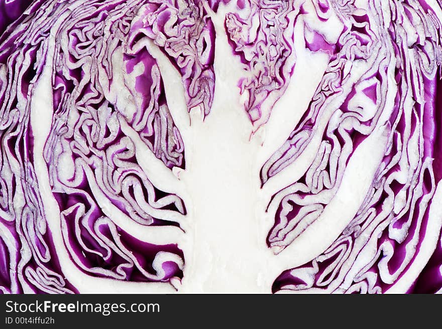 Image of a red cabbage section revealing a tree-shaped abstract