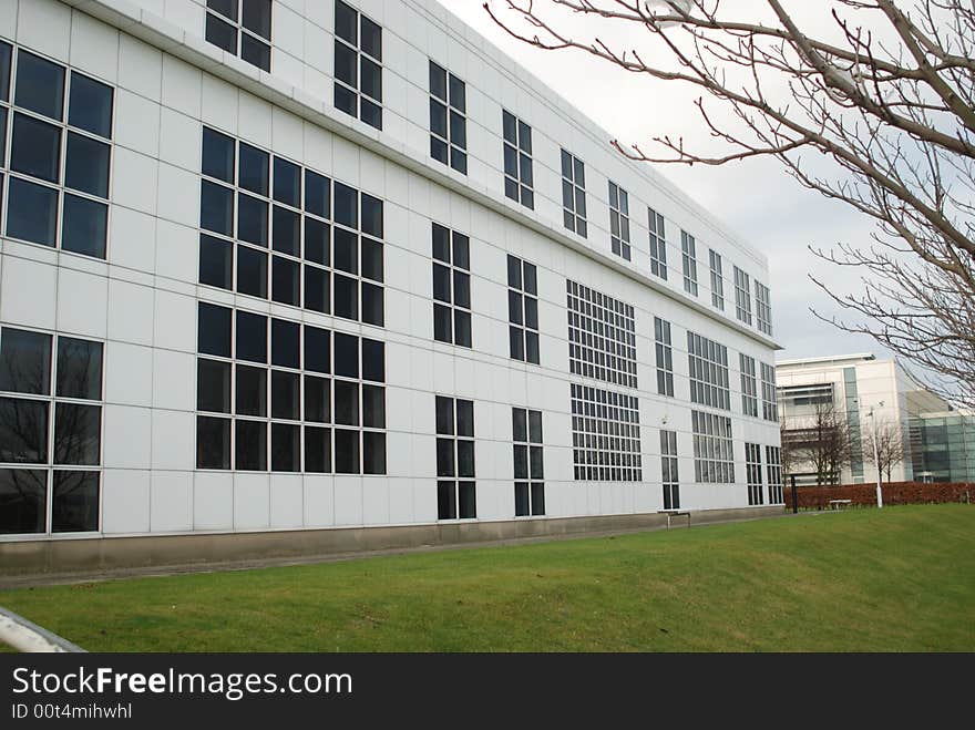 Black & White Office Building with tree