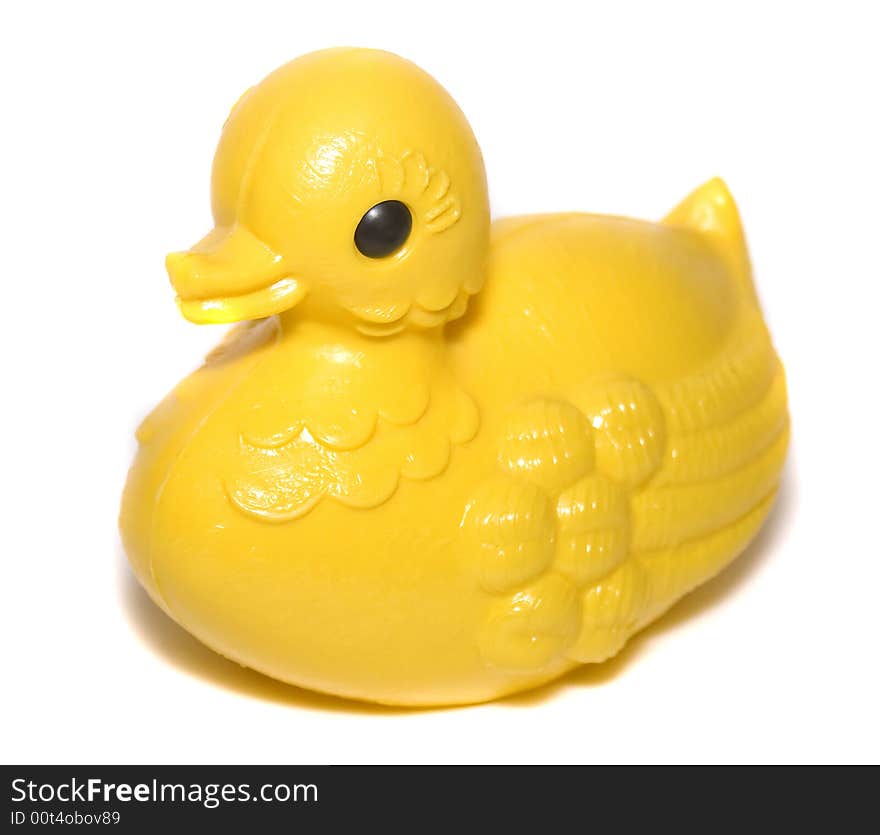 Yellow duck