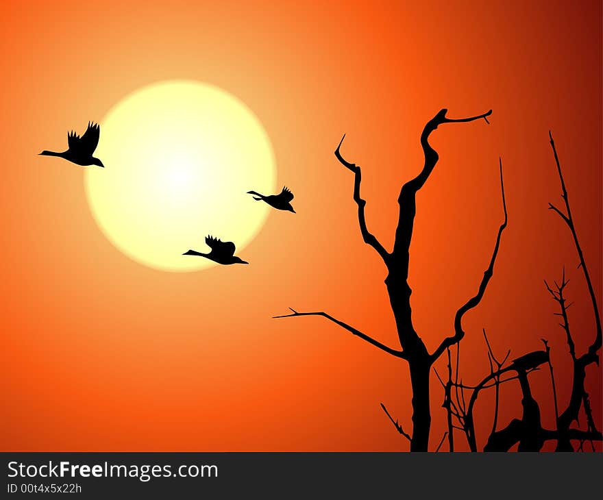 Beautiful sunset with flying birds and tree trunk. Beautiful sunset with flying birds and tree trunk.