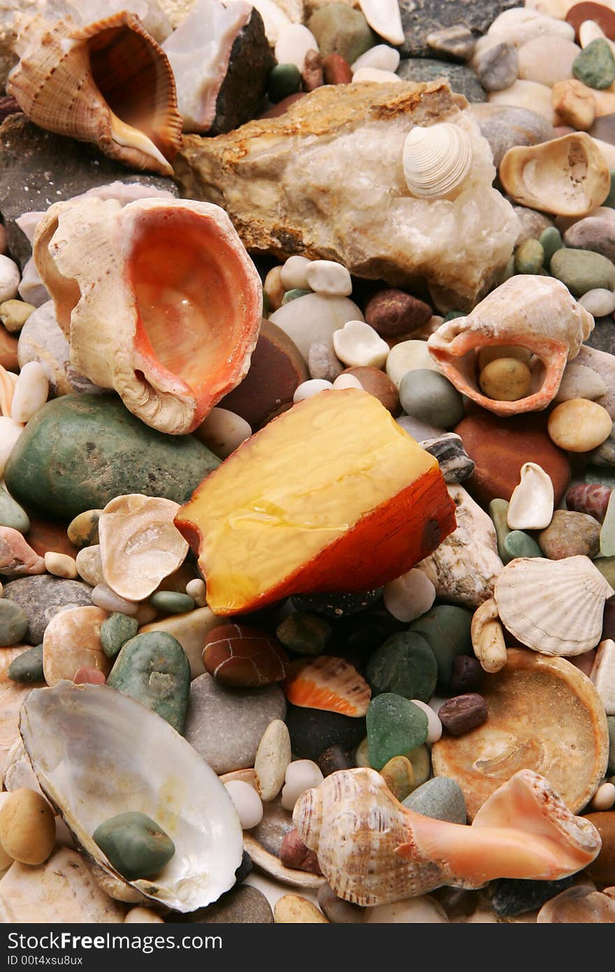 Amber and seashells