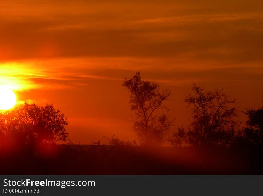 Sun setting in the bush. Sun setting in the bush