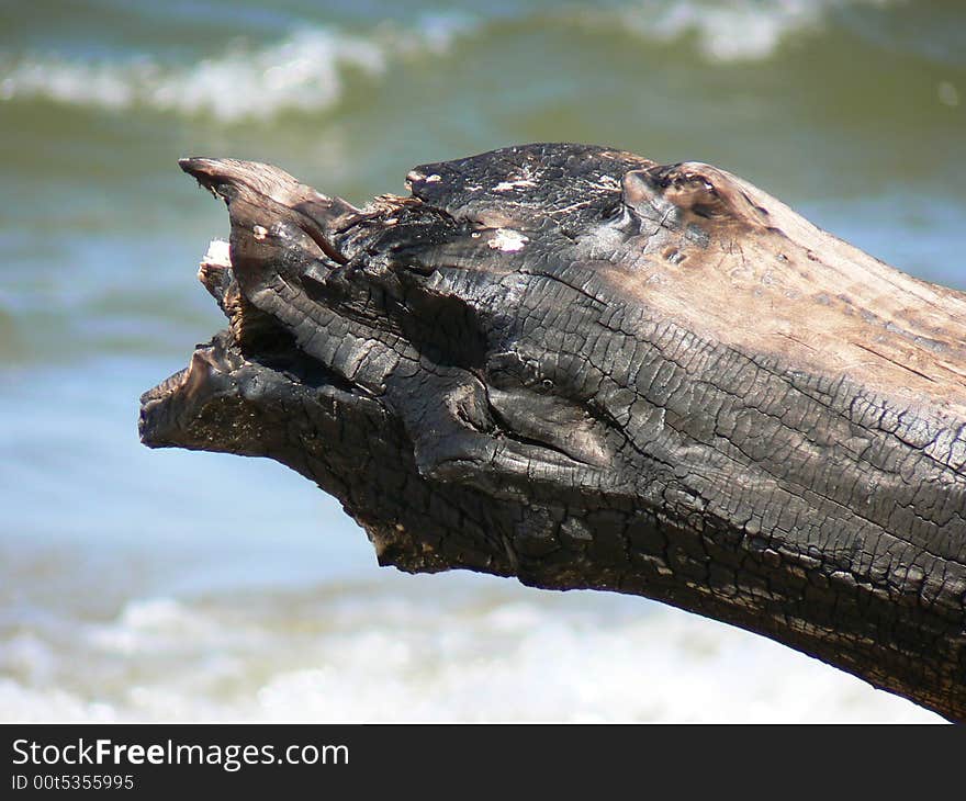 Burnt log