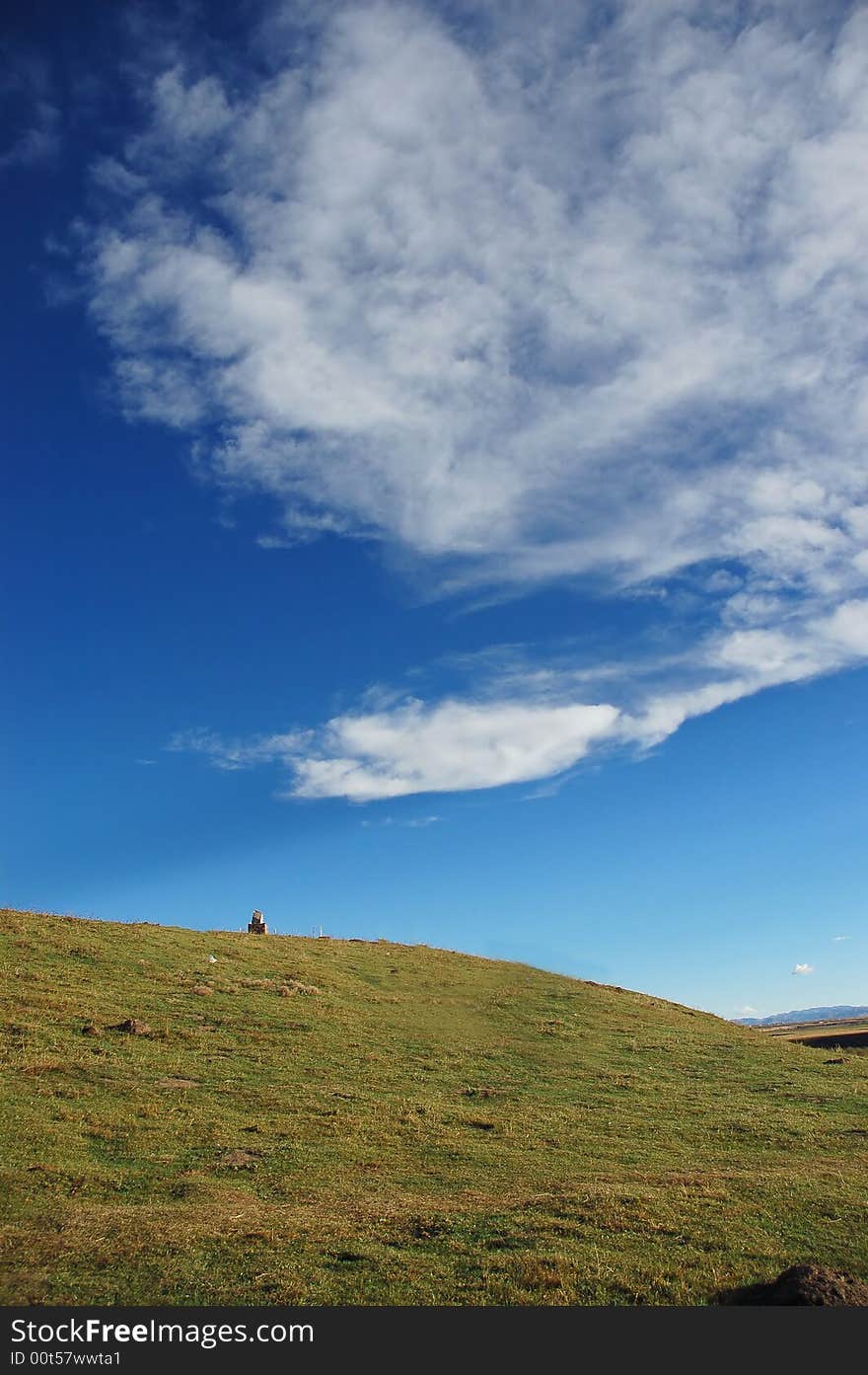 Green grass and sky