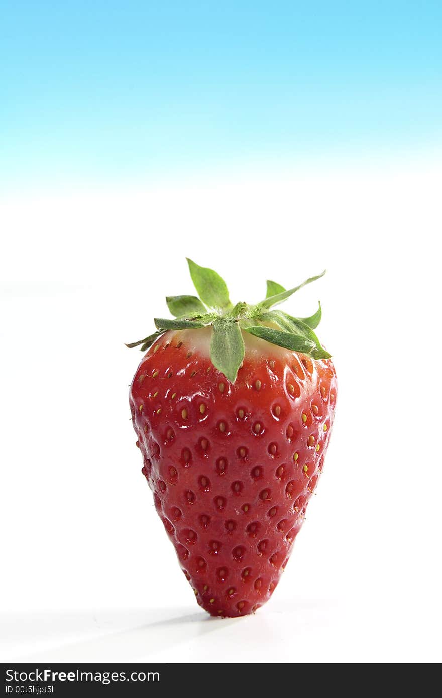 Strawberries fruit isolated on white degrading blue background. Strawberries fruit isolated on white degrading blue background