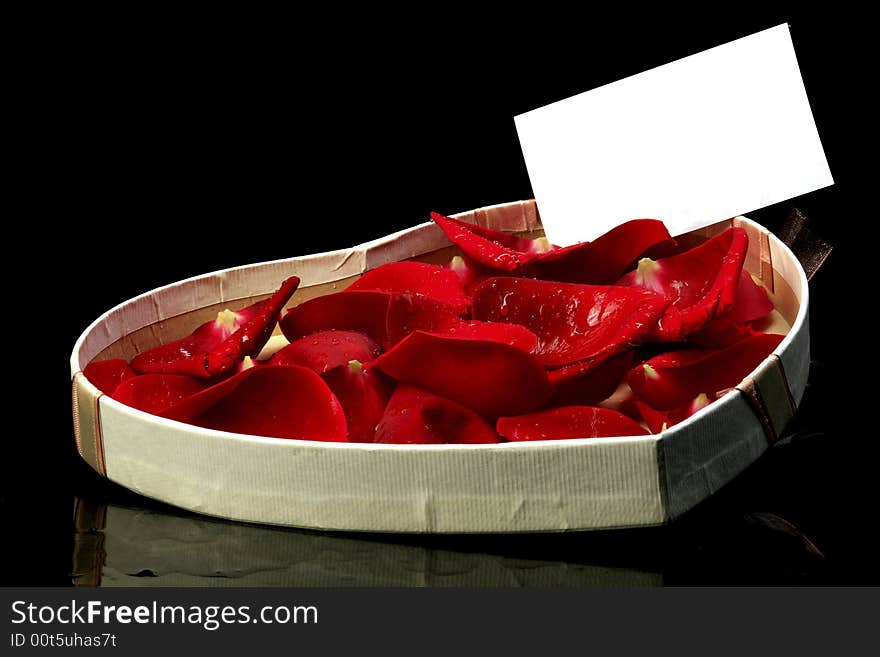 Still life shoot of red wet rose with petals and white blank paper. Still life shoot of red wet rose with petals and white blank paper