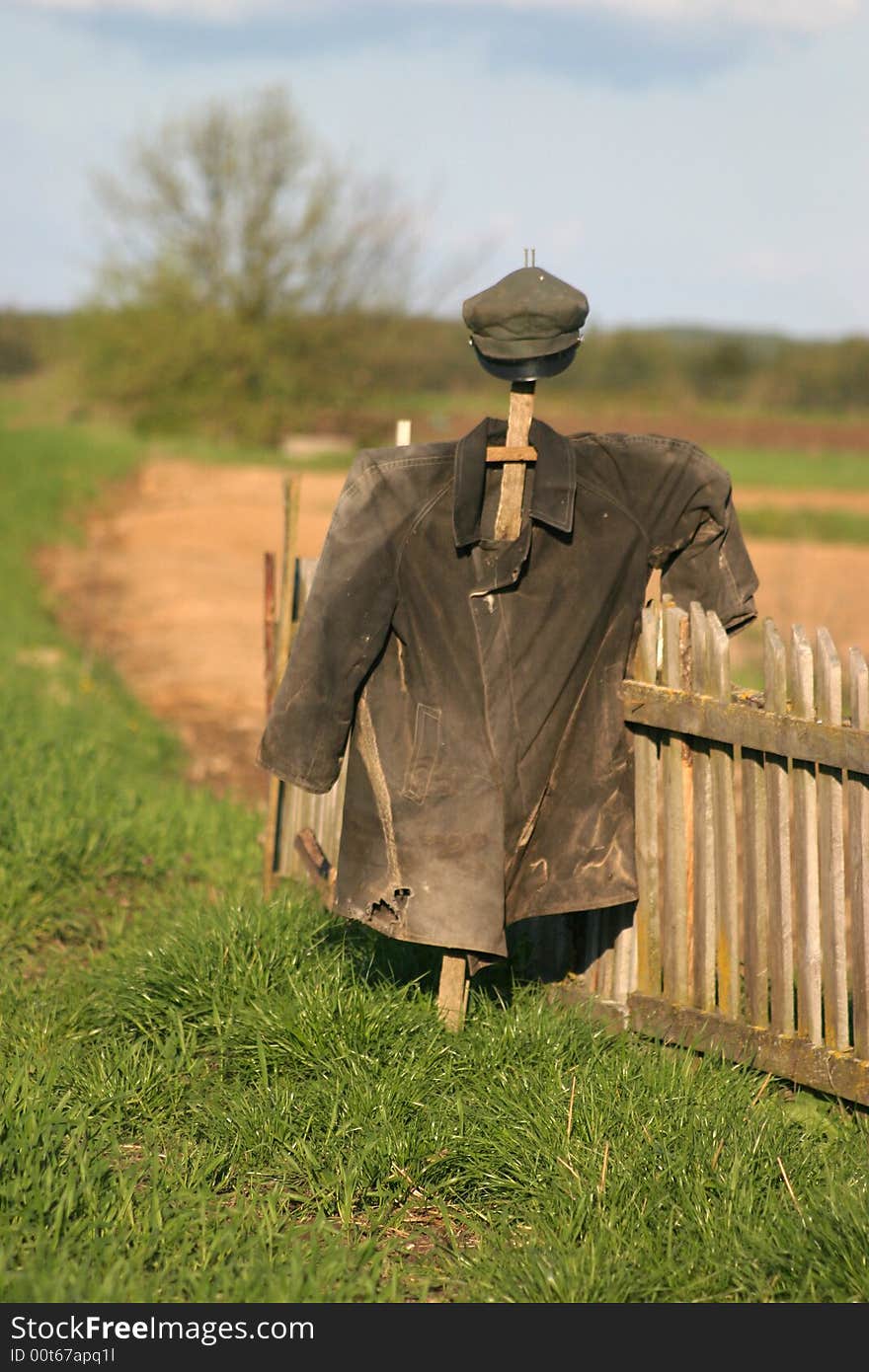 Garden Scarecrow on green grass near fence