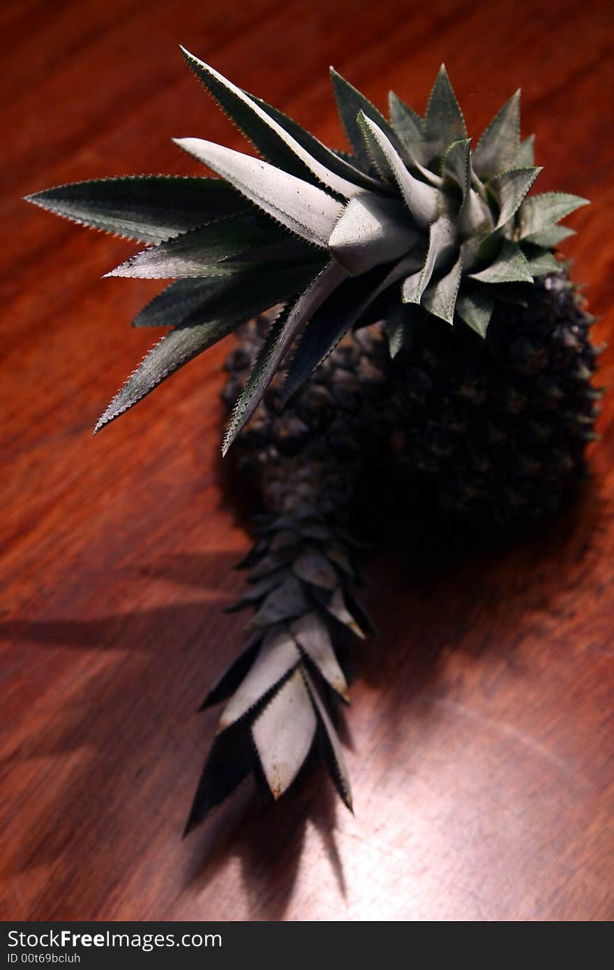 Pineapple