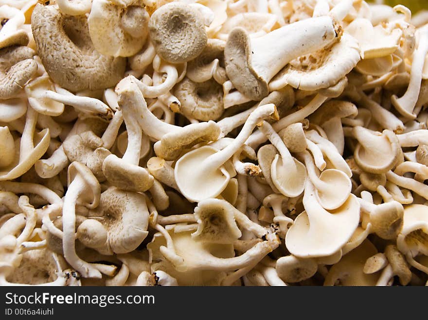 Mushrooms for sale at marketplace