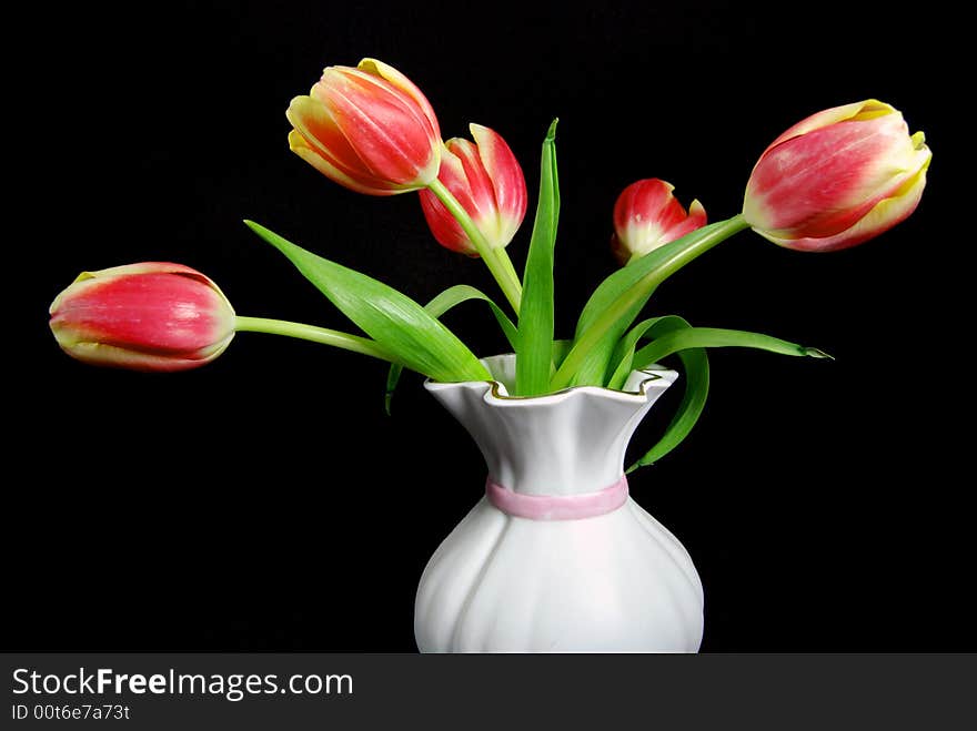 Spring tulips in an old vase on a black background. Spring tulips in an old vase on a black background.