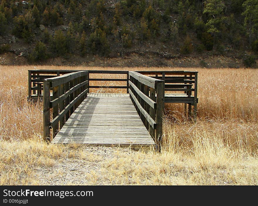 A wooden dock leading out to a dry riverbed full of weeds. A wooden dock leading out to a dry riverbed full of weeds.