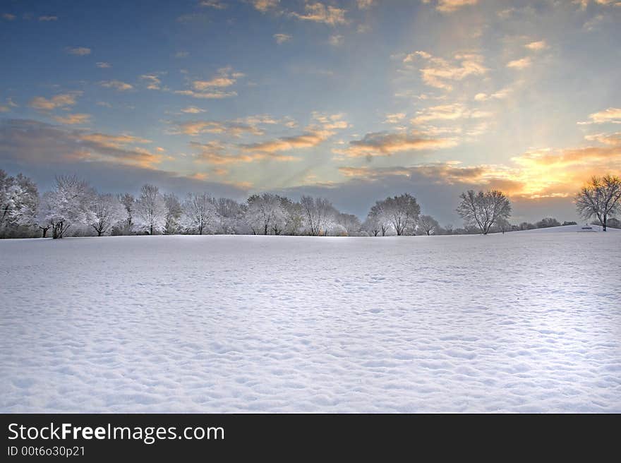 Winter vista