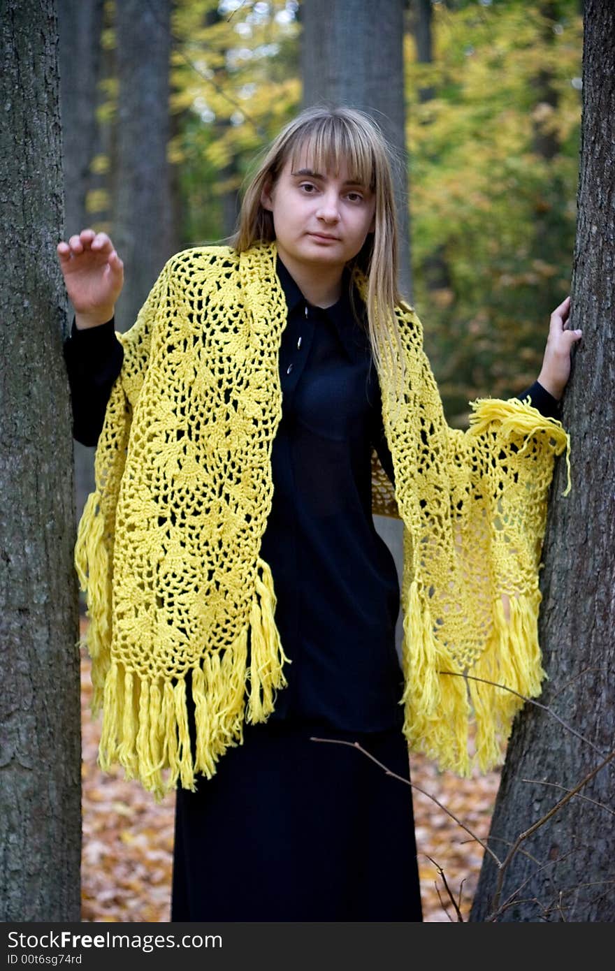 Portrait of the beautiful girl in autumn forest. Portrait of the beautiful girl in autumn forest.