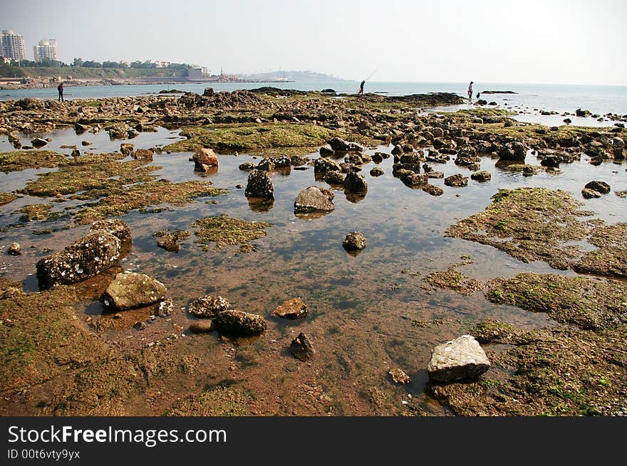 Coast near the city,which contains a lot of rocks