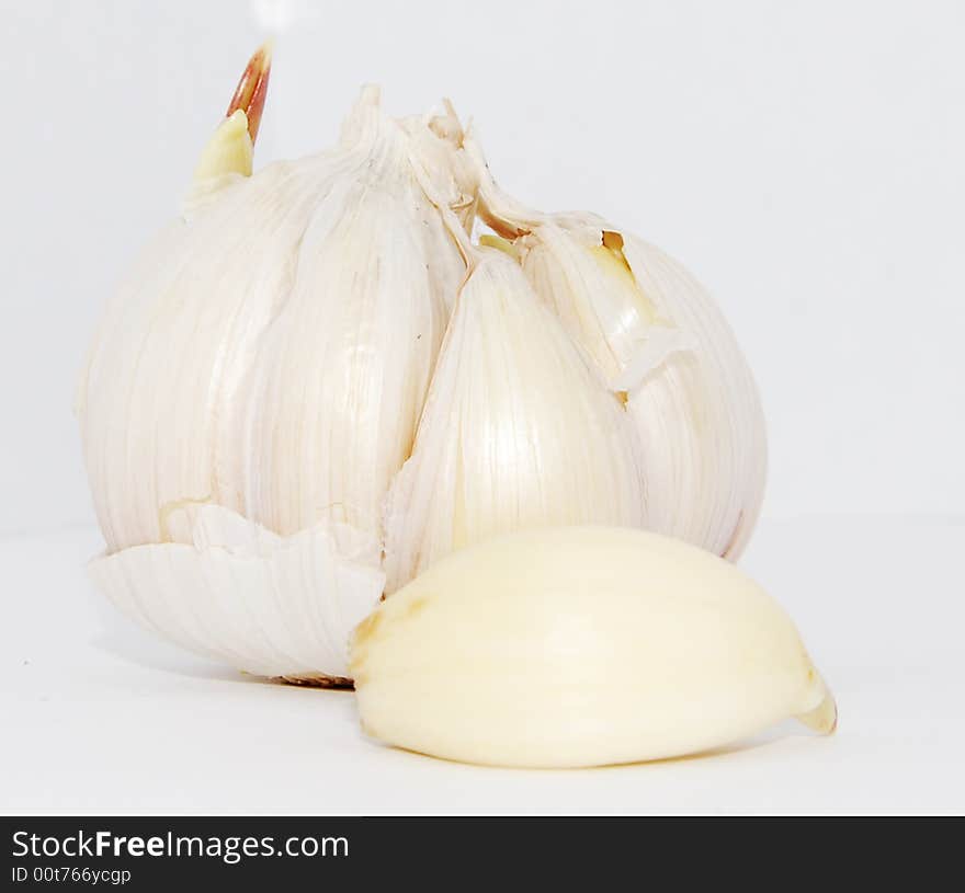 Garlic