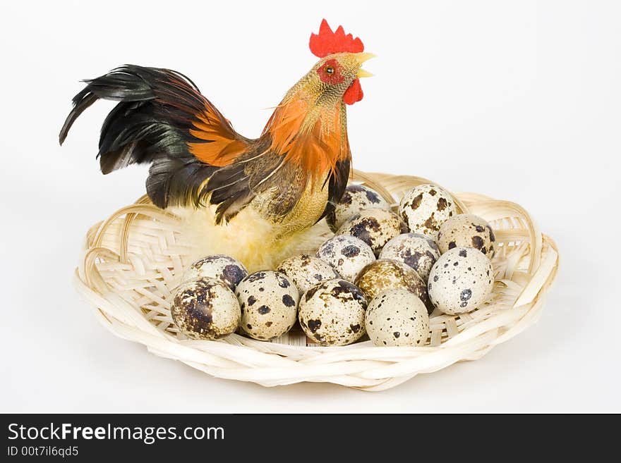 Cock and eggs in a nest