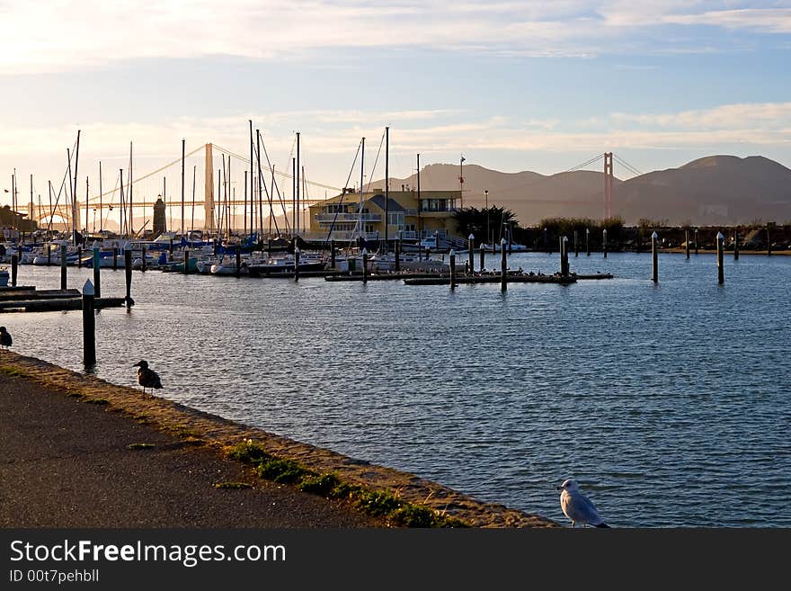 Marina next to Golden Gate Bridge in San Francisco