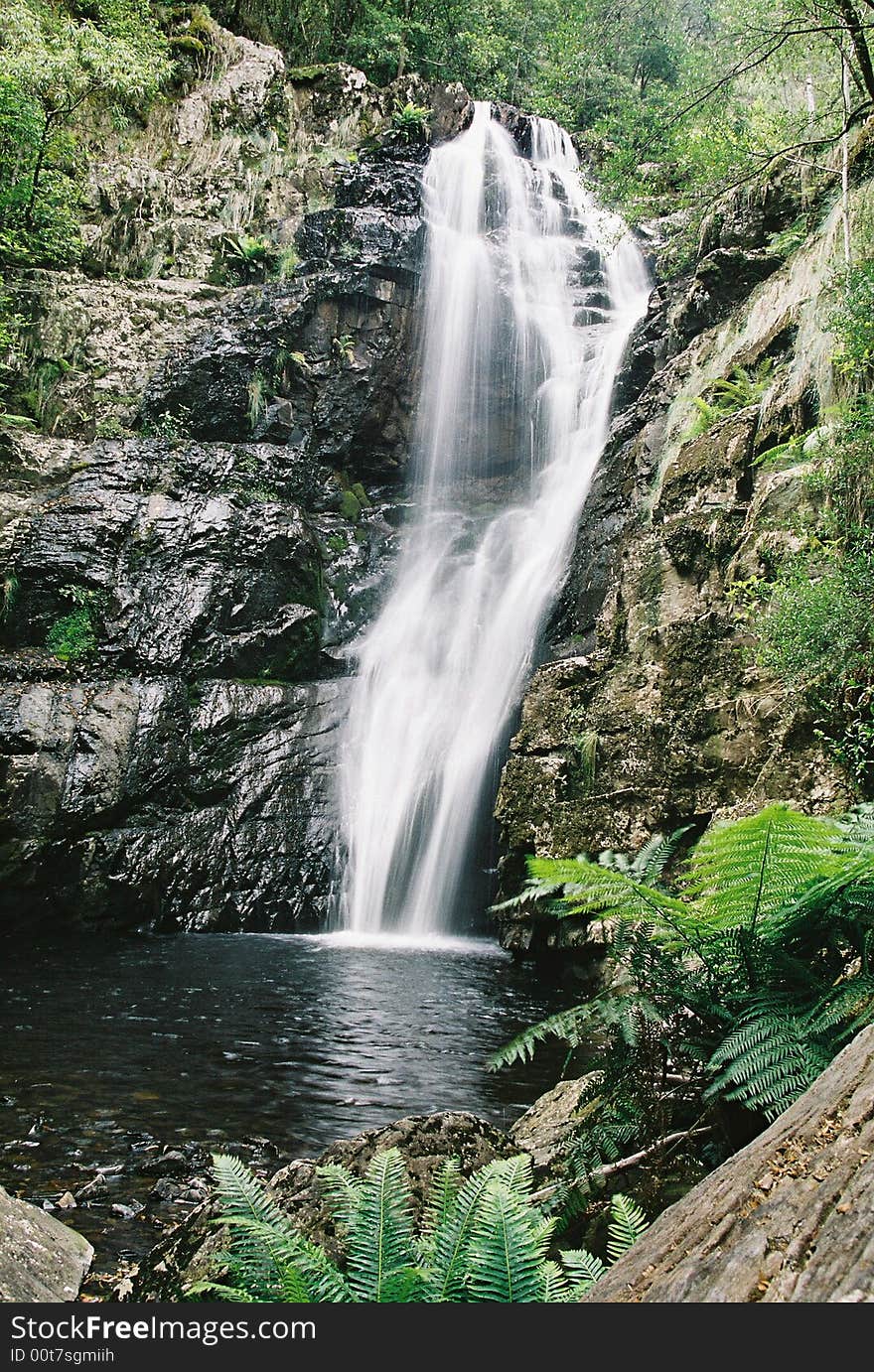 Evercreech Falls North Eastern Tasmania. A short walk off the road.