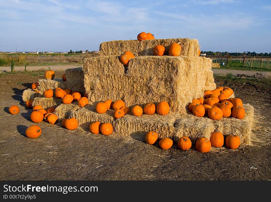 Lots of pumpkins on the hay