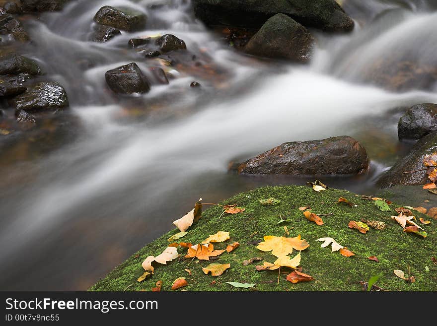 Torrent at fall