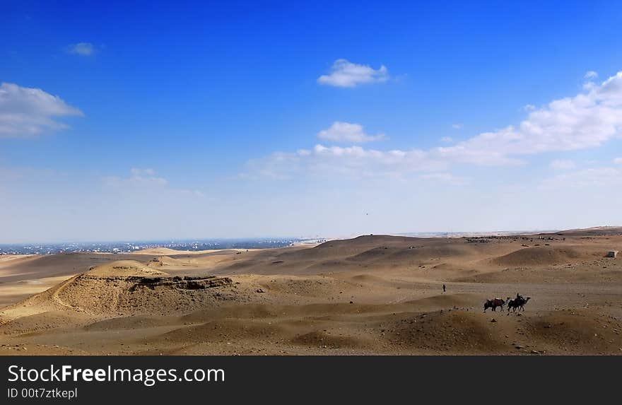 Desert and two camels