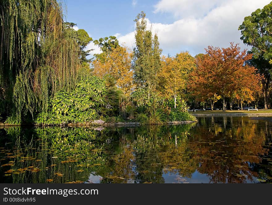 Autumn in the Northern California. Autumn in the Northern California