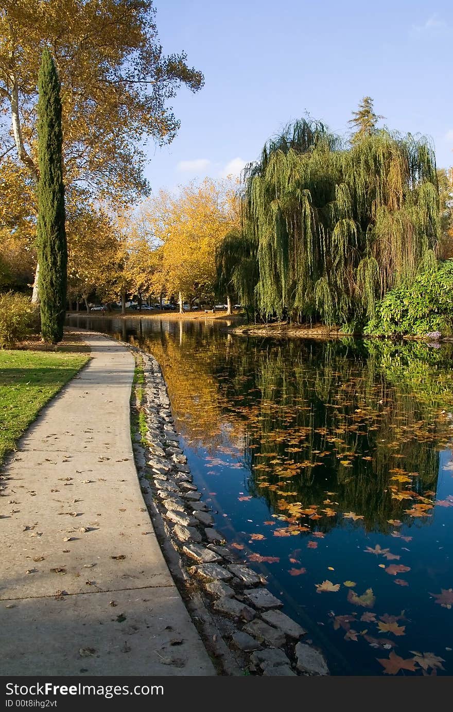 Autumn in the park