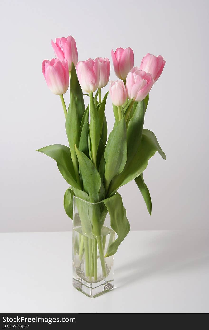 Bouquet pink tulips in vase