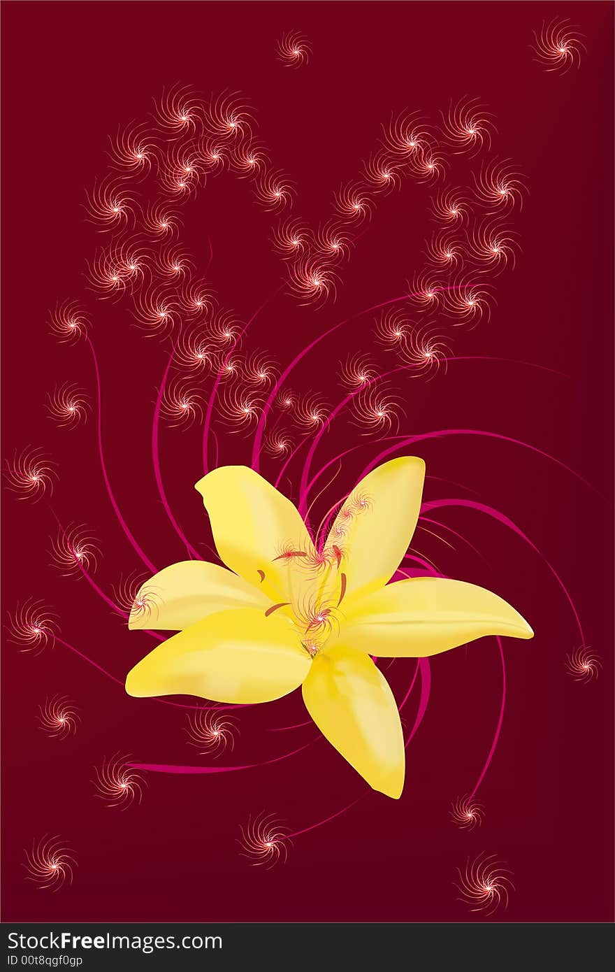 Illustration beautiful flower. Flower of the lily