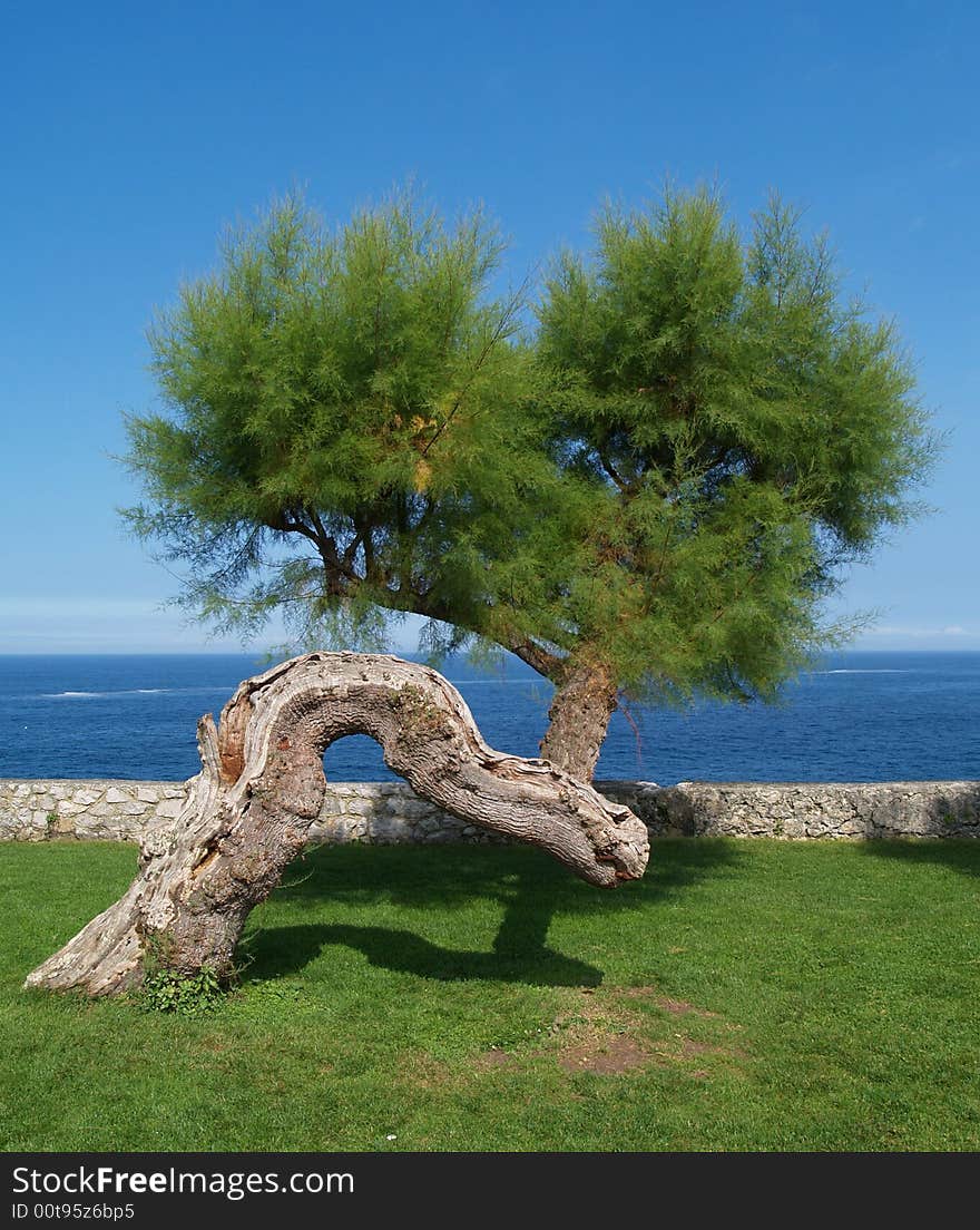 Paseo de San Pedro, Llanes