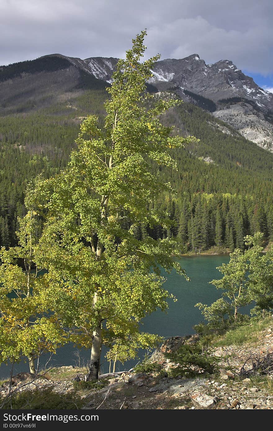 Picturesque and twisting coast of mountain lake in Canada. Picturesque and twisting coast of mountain lake in Canada.