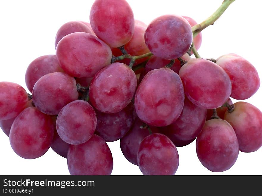 Purple grape on the white background