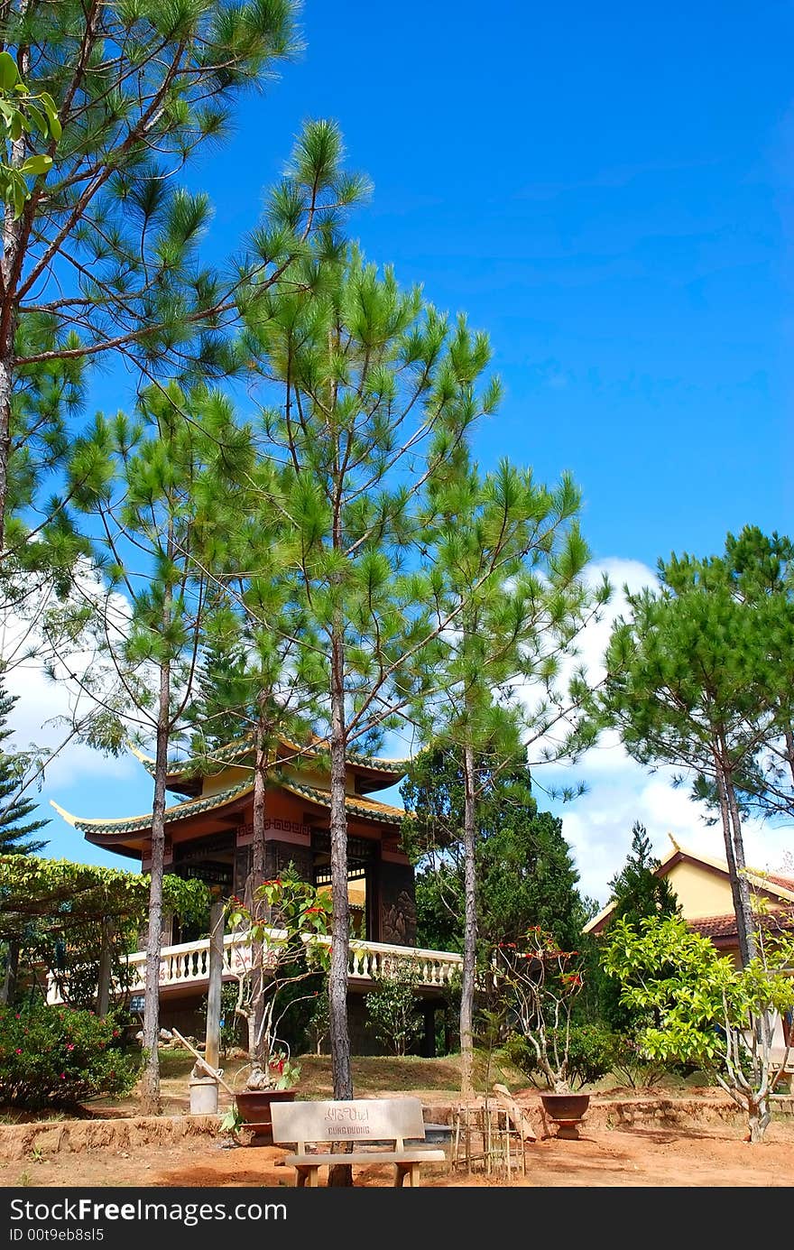 Pagoda In Park