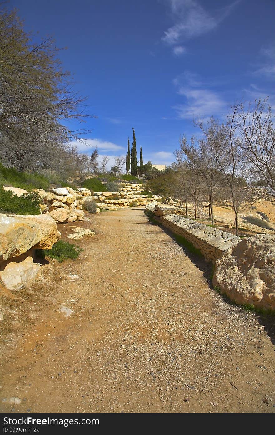 Footpath In An Oasis.