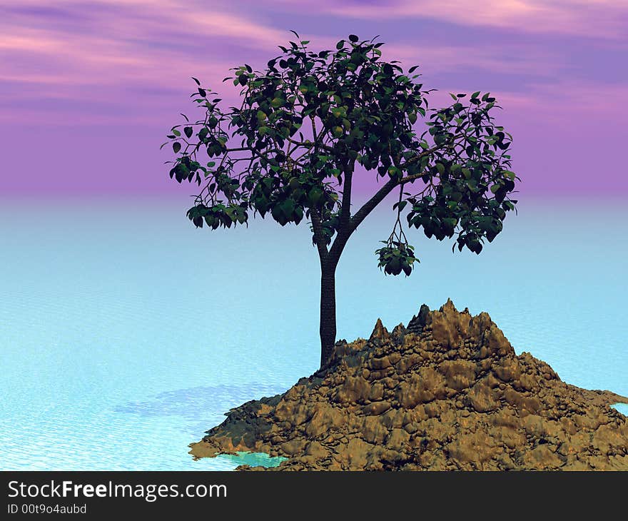 Tree on island