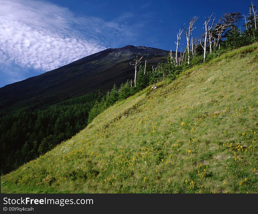 Mt fuji-4