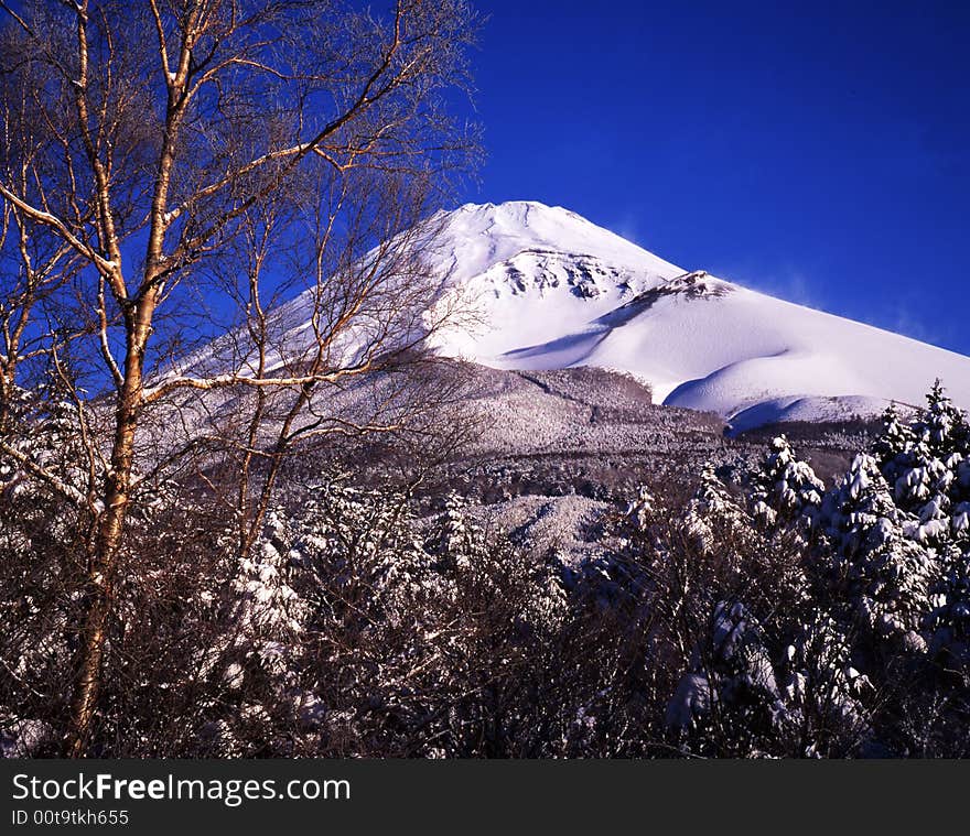 Mt fuji