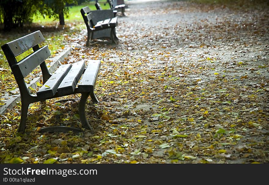 Park With Bench