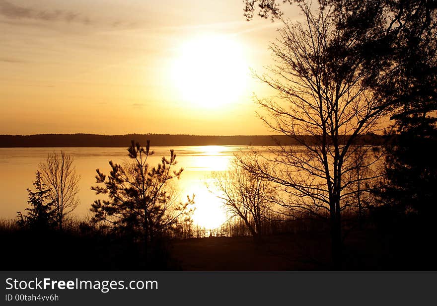 Beautiful sunrise with several trees in silhouette