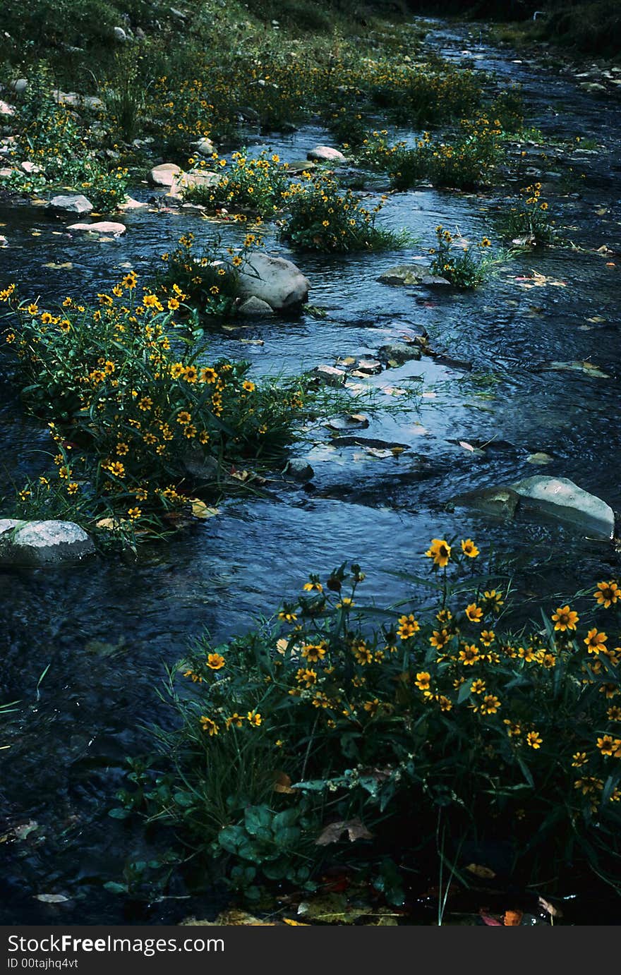 Small stream