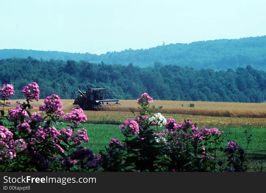 Harvestingthe fields